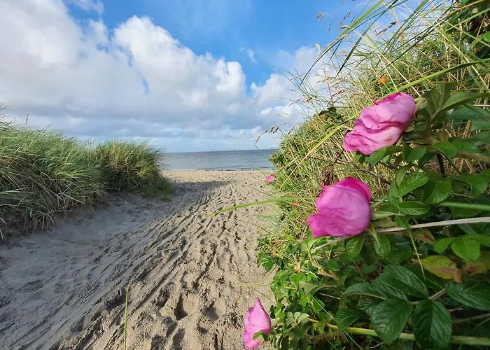 Wangermeer - * Schillig